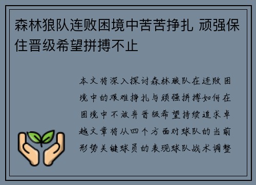 森林狼队连败困境中苦苦挣扎 顽强保住晋级希望拼搏不止