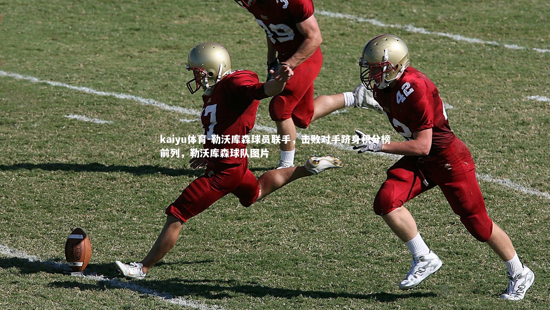 kaiyu体育-勒沃库森球员联手，击败对手跻身积分榜前列，勒沃库森球队图片