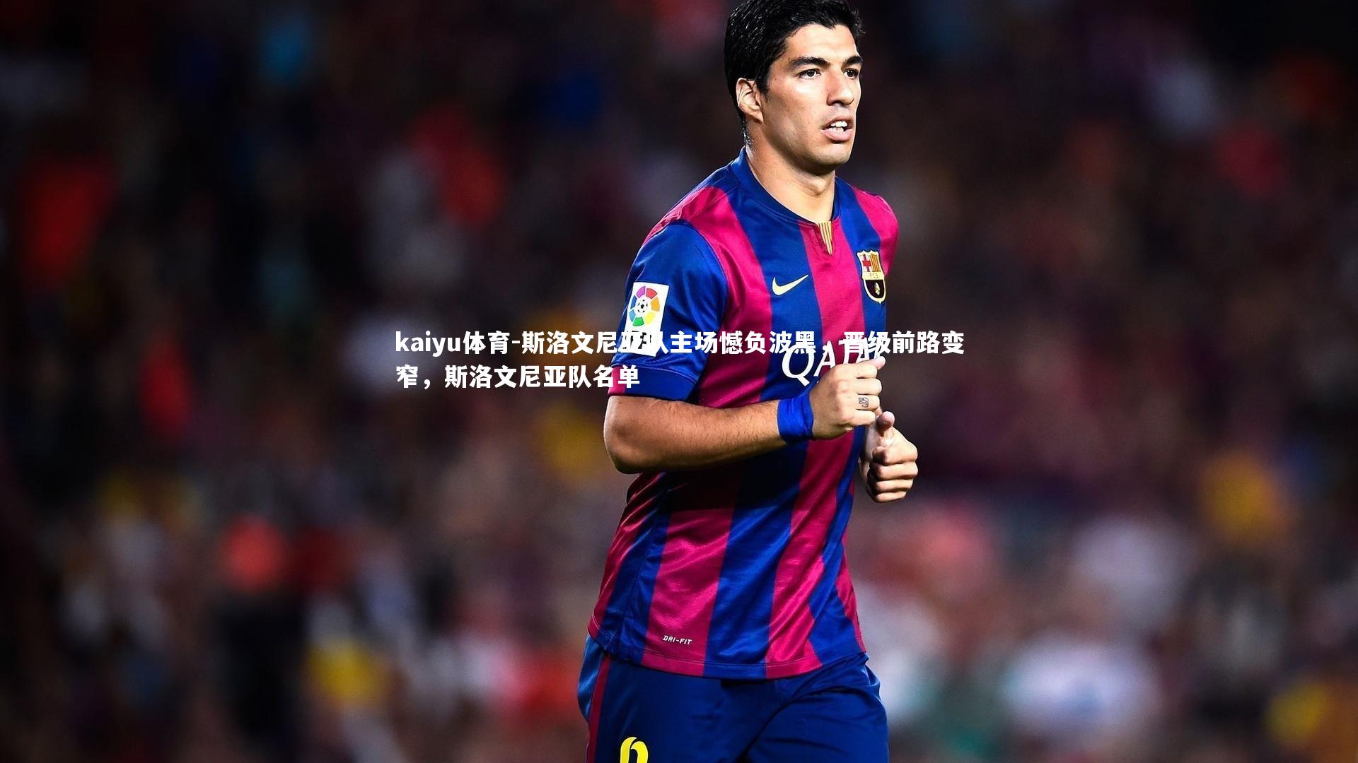 kaiyu体育-斯洛文尼亚队主场憾负波黑，晋级前路变窄，斯洛文尼亚队名单