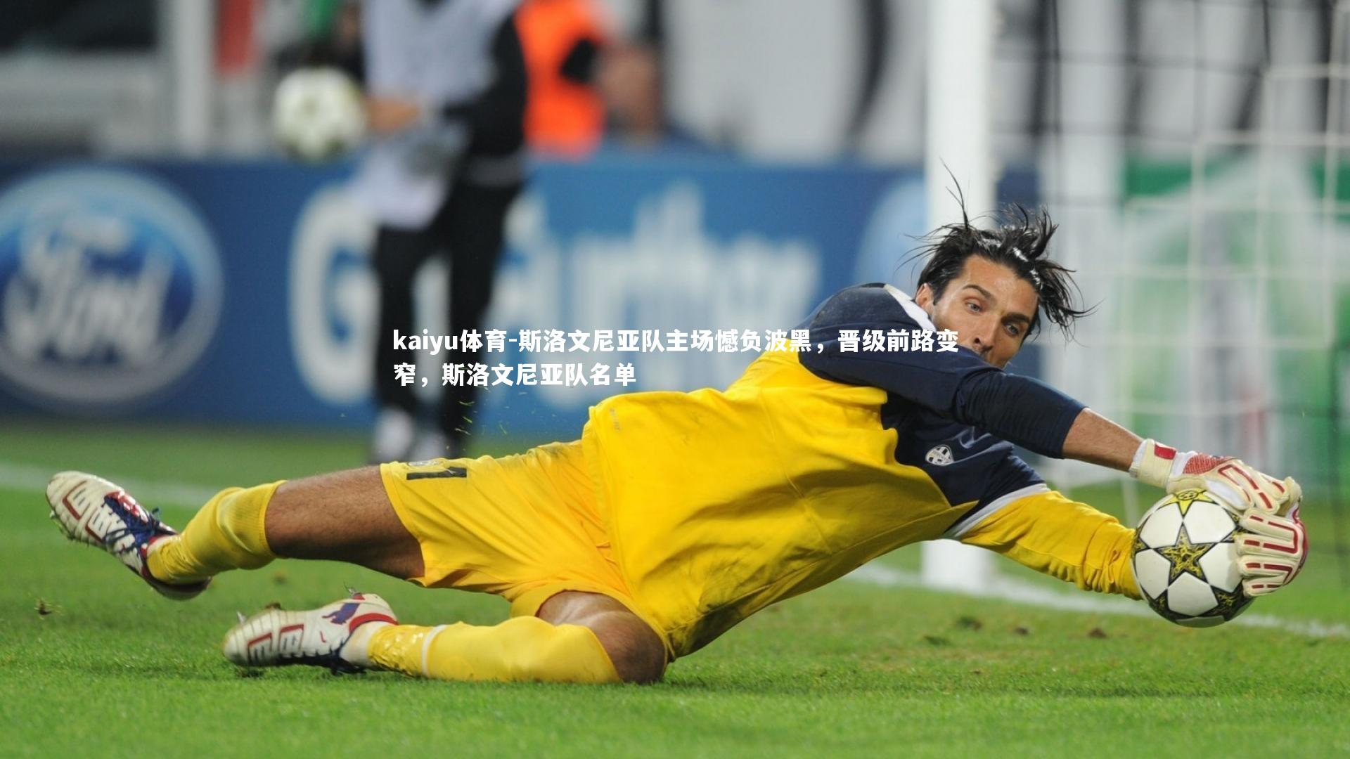 斯洛文尼亚队主场憾负波黑，晋级前路变窄，斯洛文尼亚队名单