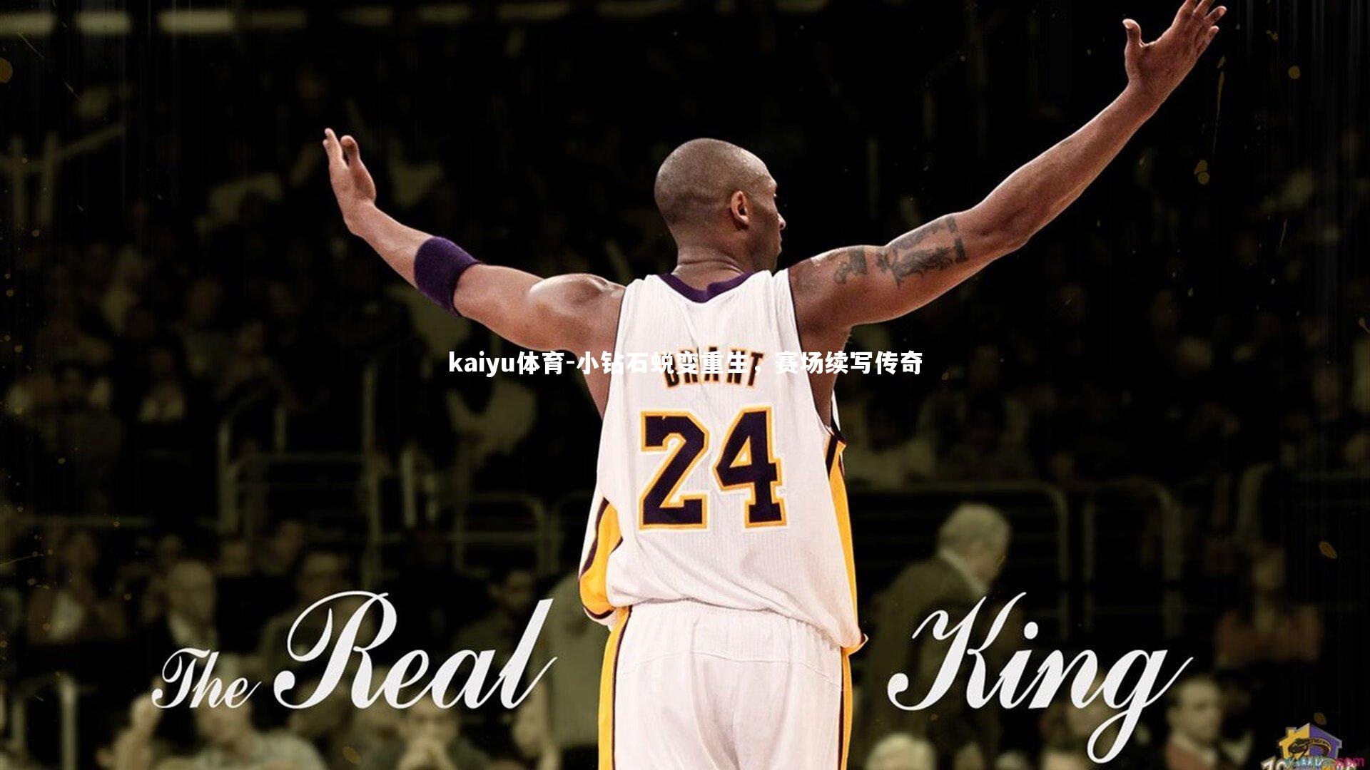 小钻石蜕变重生，赛场续写传奇